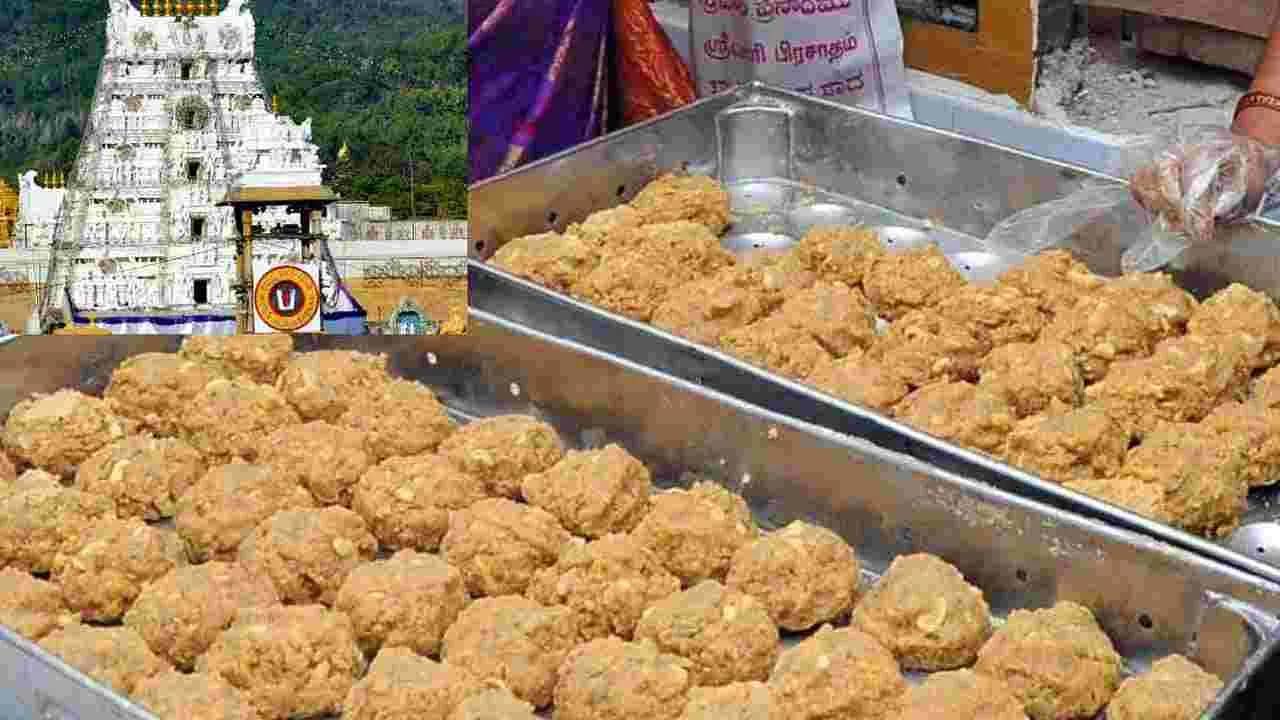 tirumala srivari laddu