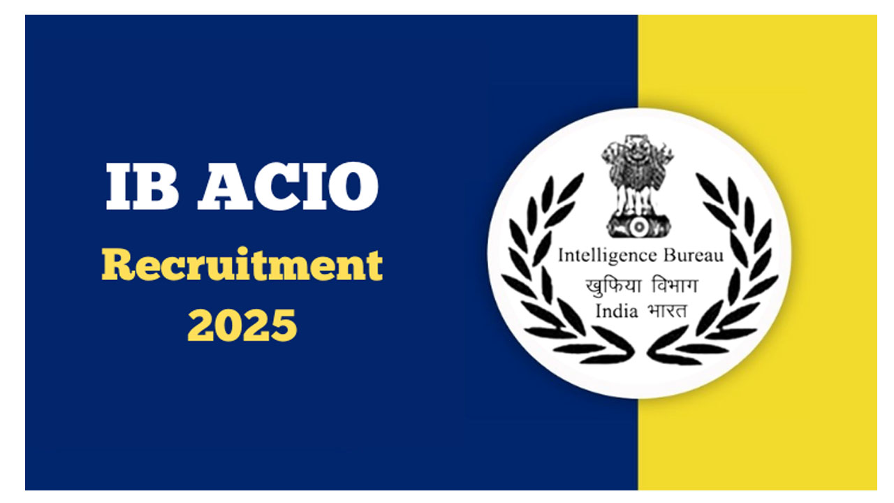 IB recruitment 2025